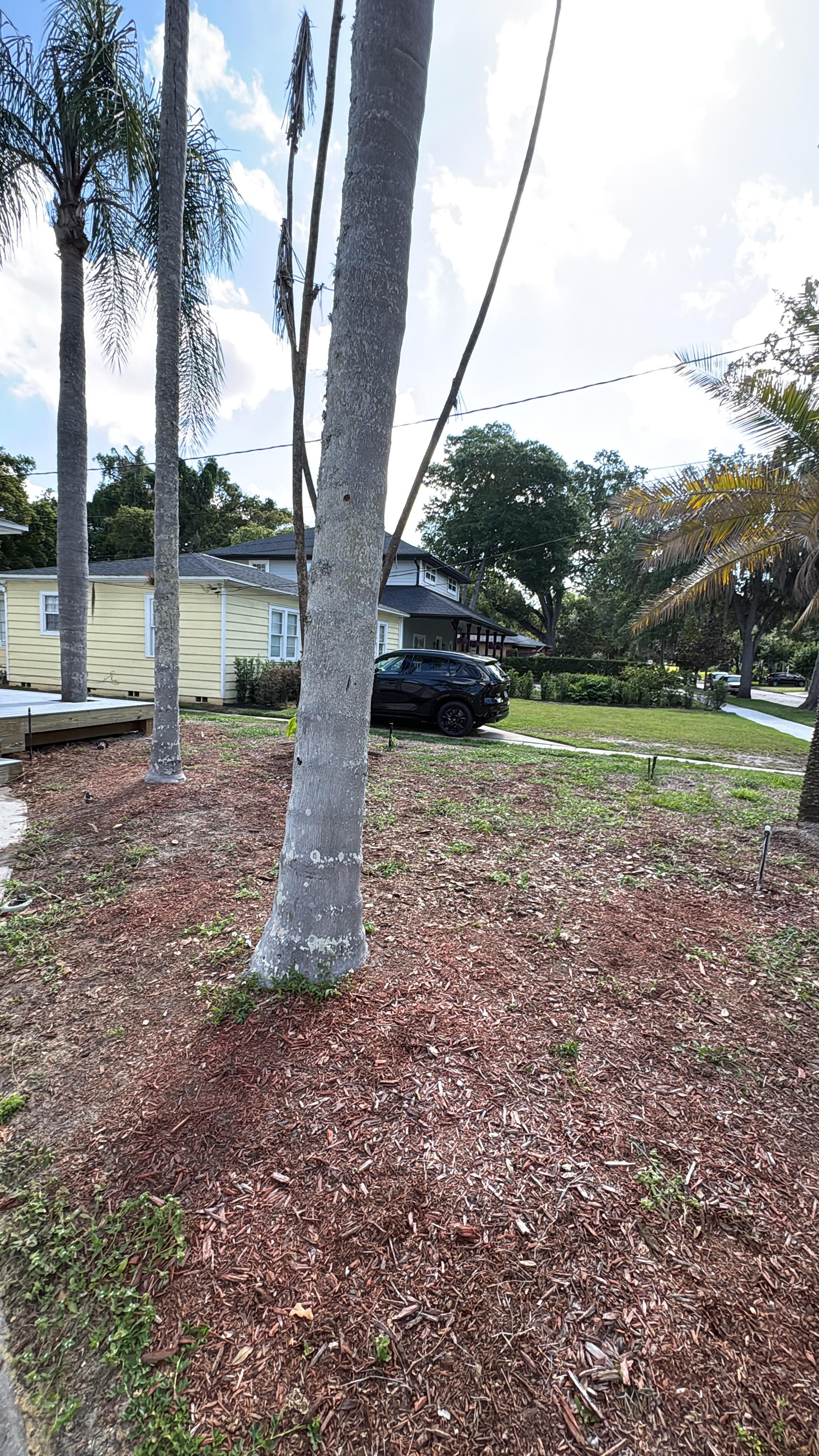 After: Clean front yard with palm trees and mulch ground — all deck debris removed by Junk Removal Rangers